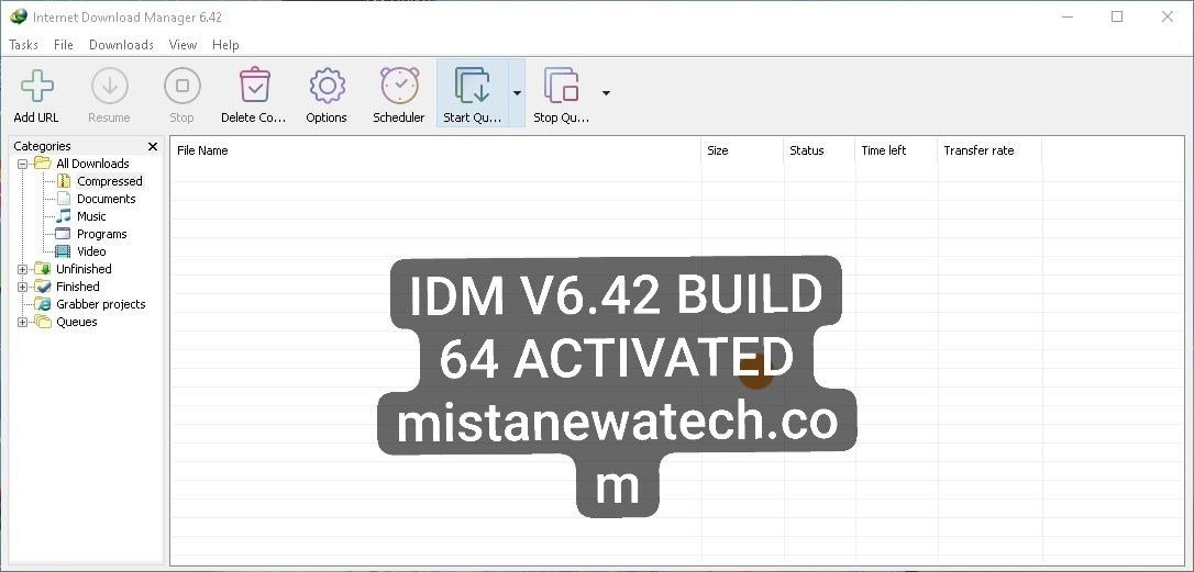 IDM